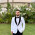 Abdulrahman Mohsen Saeid Farahat